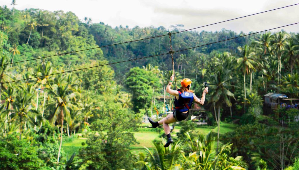flying fox